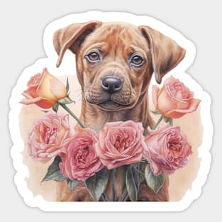 Puppy with pink rose, Valentine Sticker